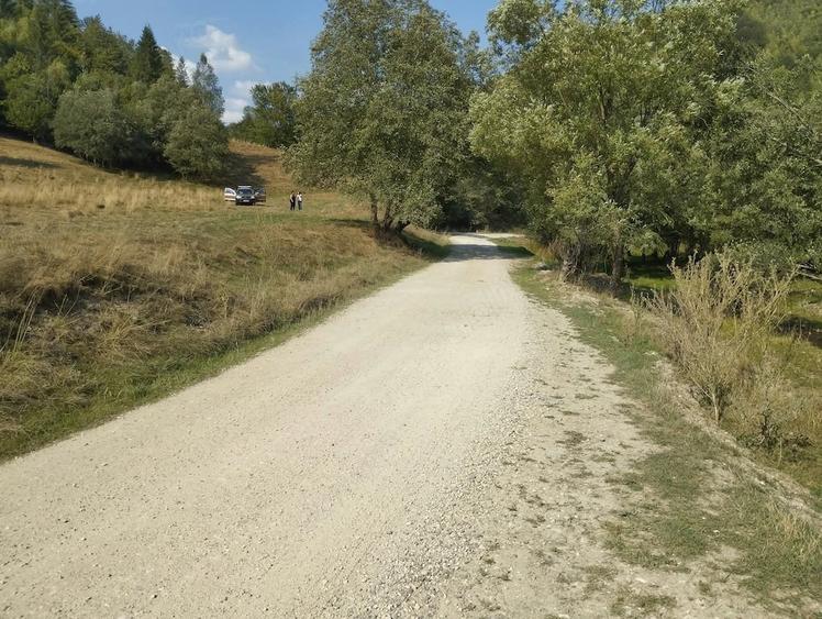 Vanzare teren - zona Plaiul Foii, Zarne?ti - 3