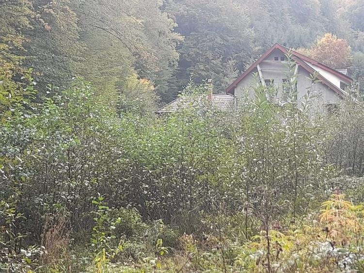 Teren de 905 mp, în Pădurea Neagră