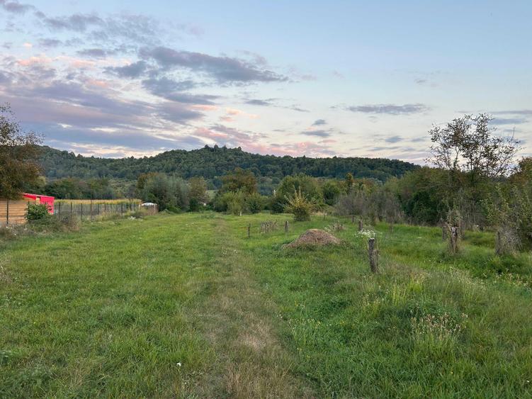 Teren de 2700 mp, în Brănești