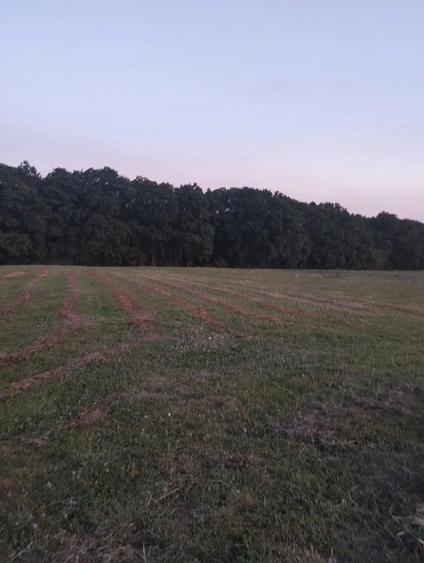 Teren de 6200 mp, în Popești