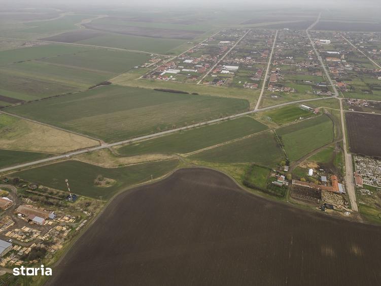 Teren 76.000mp intre Santana ?i Caporal Alexa - 3