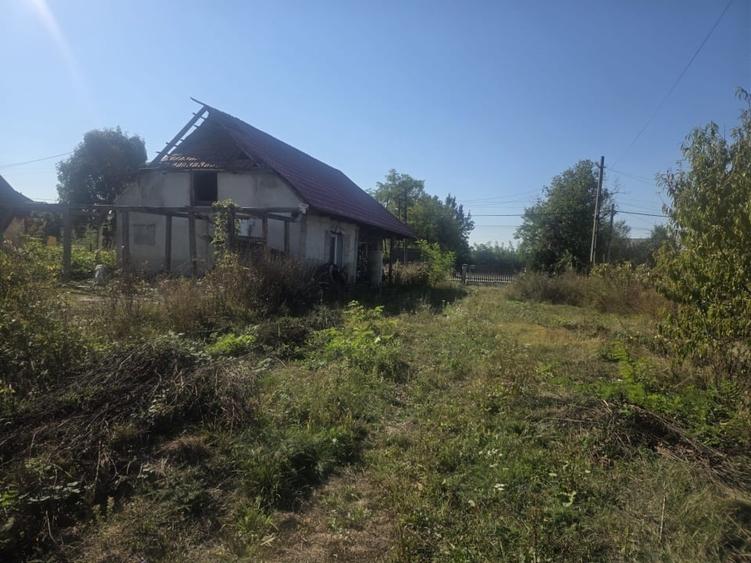 Casă individuală cu 1 camere cu Canalizare în Pomi