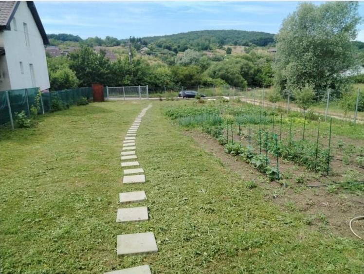 Teren Construcții intravilan de 864 mp, în Nord-Vest