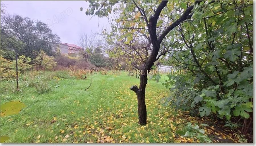 Casă cu 4 camere cu Teren 1000 Mp în Central