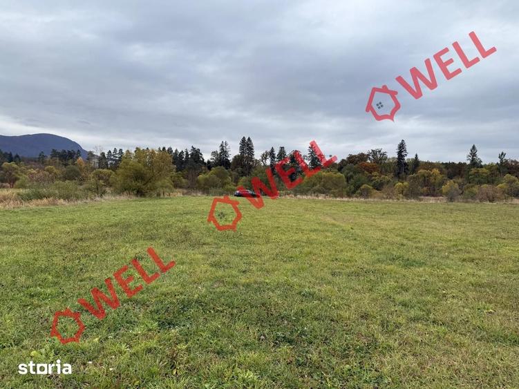 Teren de 3200 mp, în Dumbrăvița