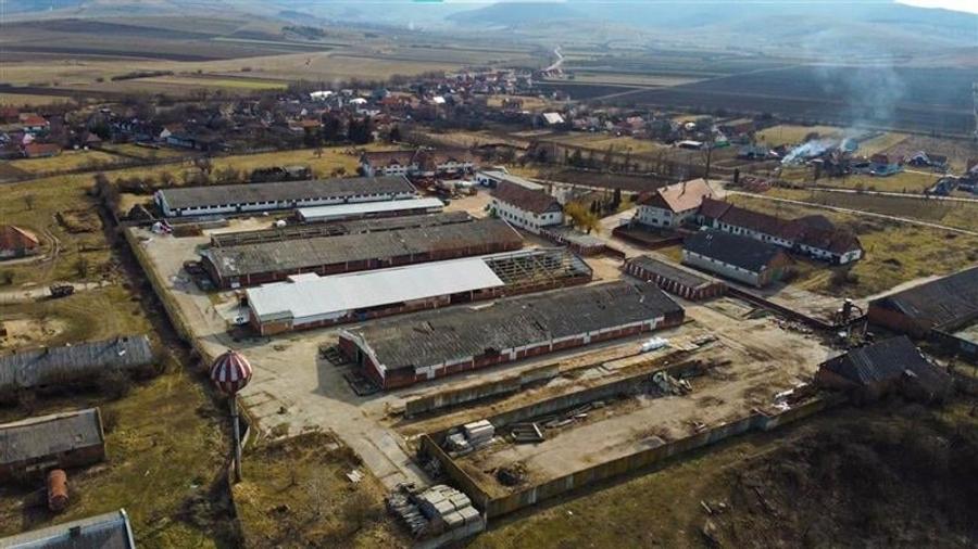 Spațiu comercial, de 9,000 mp, în Boroșneu Mare