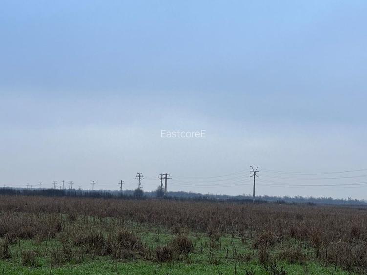 TEREN AGRICOL 4.1ha, DN1A, 15/mp