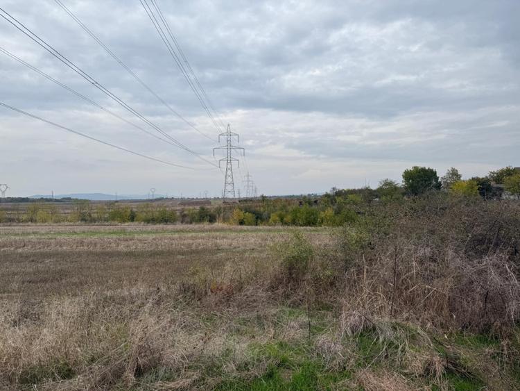 Teren agricol extravilan de 8665 mp, în Filiași