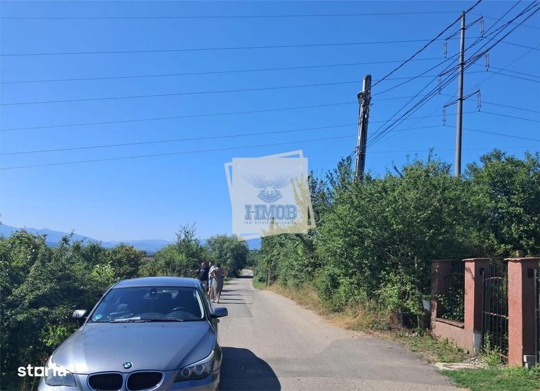 Spațiu comercial, în Daia