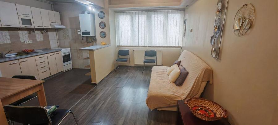Inchiriere apartament 2 camere Terezian - 4