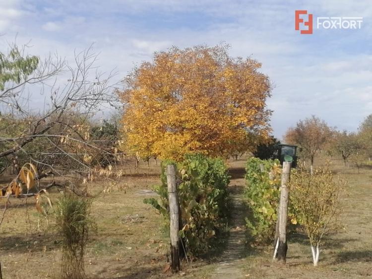 Casă individuală cu 7 camere cu Teren 4316 Mp în Bogda