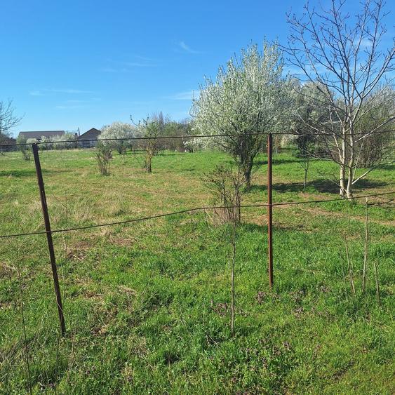 Teren Construcții intravilan de 2262 mp, în Dragomirești-Vale