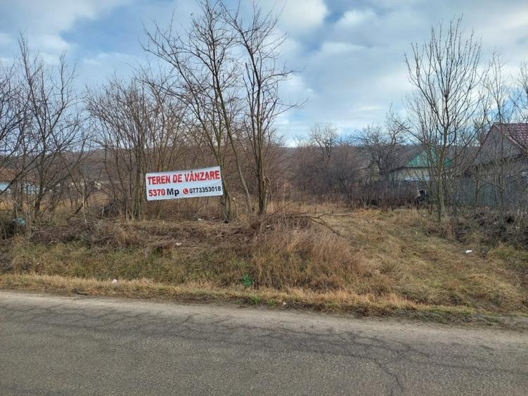 Teren Construcții extravilan de 5370 mp, în Dobrovăț