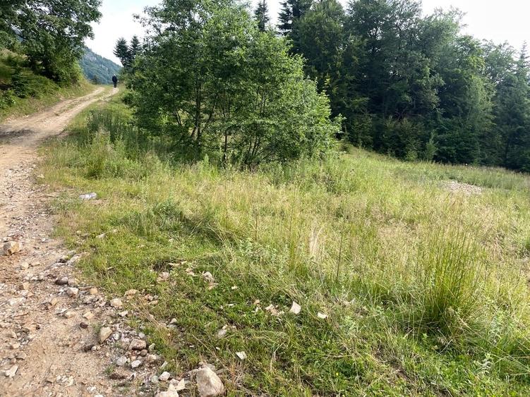 Teren Construcții intravilan de 12750 mp, în Pârâul Rece