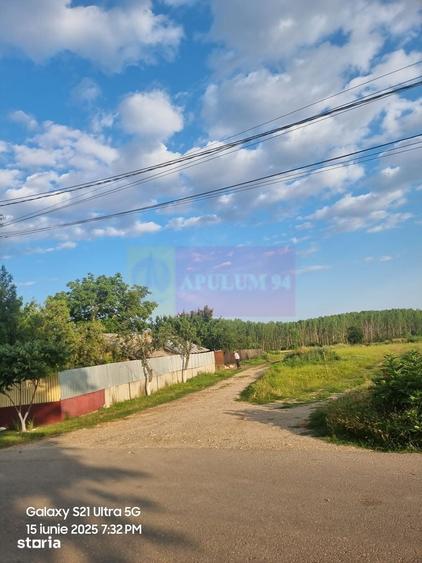 VANZARE TEREN 2150 MP IN SAT TEISORI (GR) - 12