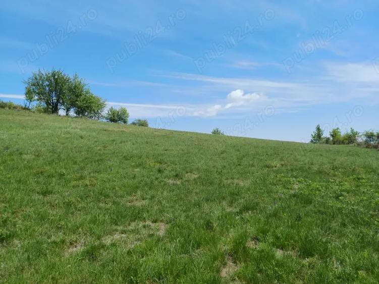 Teren în Podeni