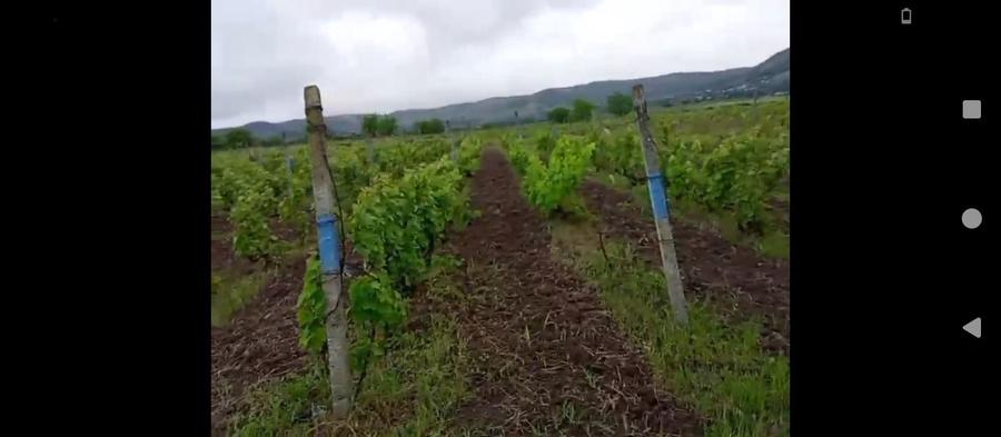 Teren de 2700 mp, în Fântânele