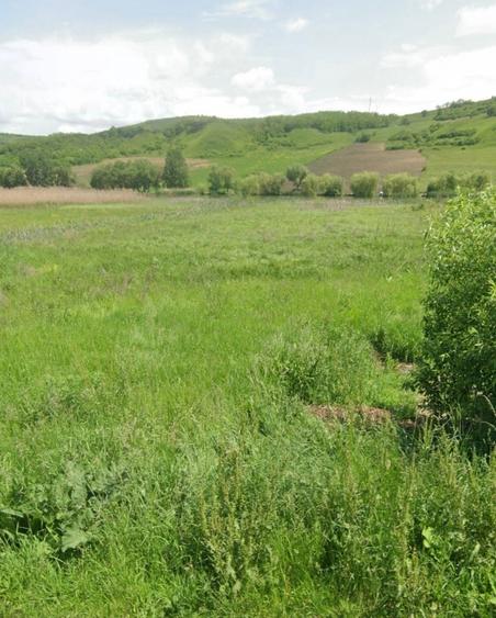 Teren agricol extravilan de 4056 mp, în Periferie
