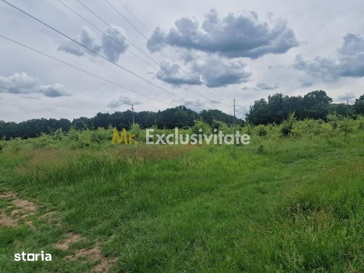 Teren extravilan Pitesti - str. Balotesi!! - 4
