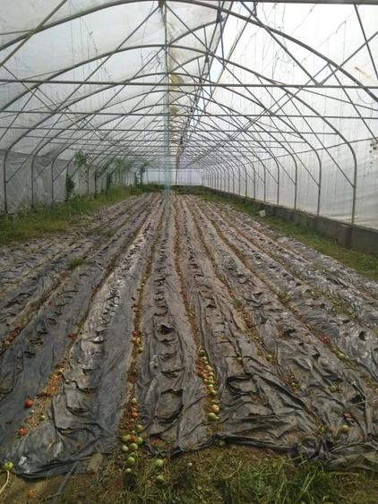 Spațiu comercial, de 1,500 mp, în Călinești