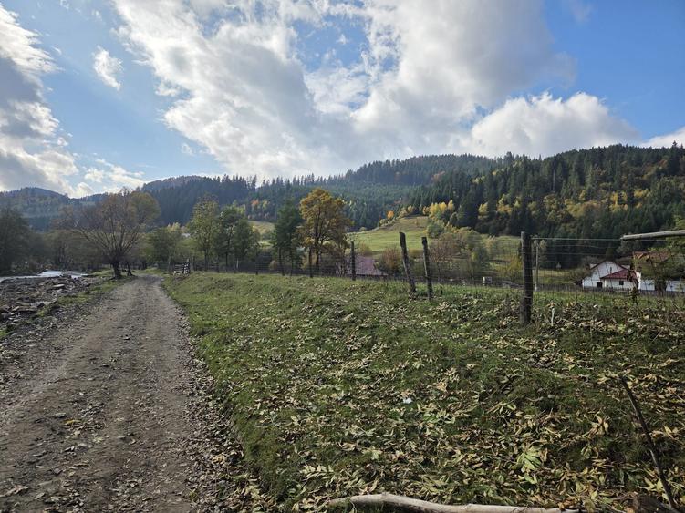 Teren de 2000 mp, în Stulpicani