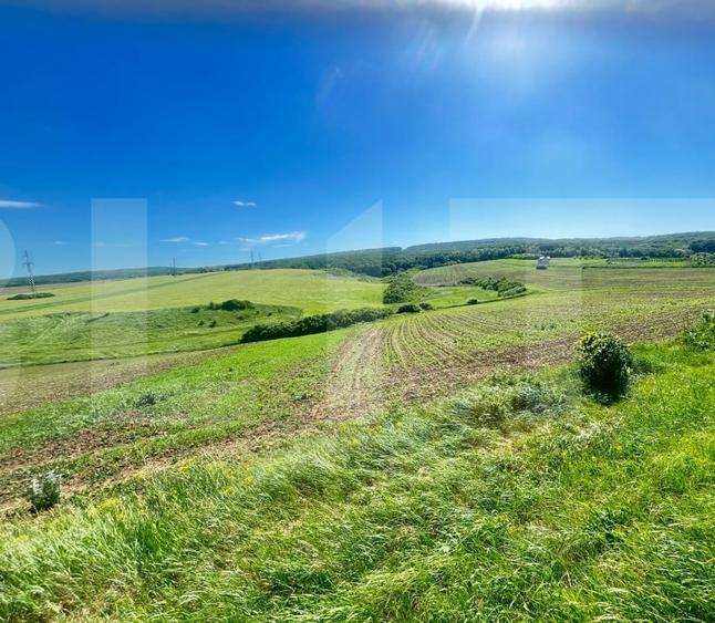 Teren Construcții intravilan de 2050 mp, în Vest