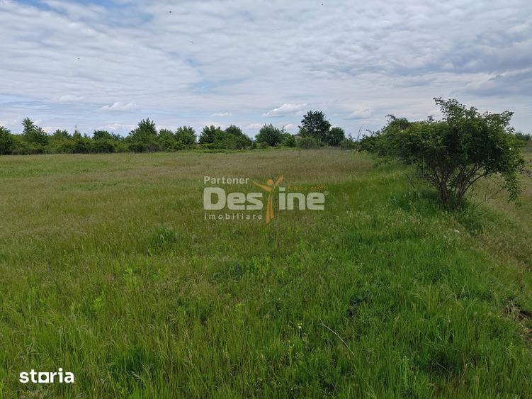 Teren de 114000 mp, în Ariceștii Rahtivani