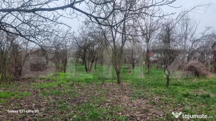 TEREN zona aer curat CASA si ANEXA - 1