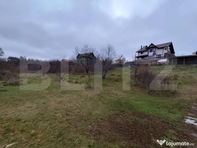 Teren de 2600 mp, în Strugurilor