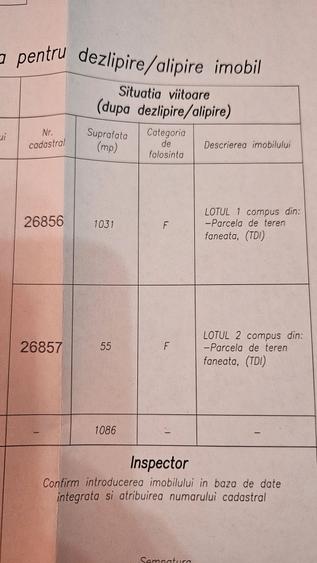 Spațiu comercial, în Lumina