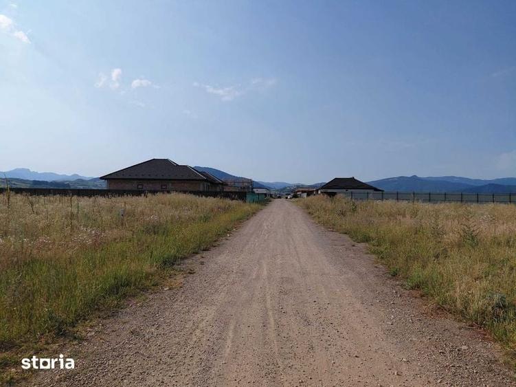 Teren de 780 mp, în Tărlungeni