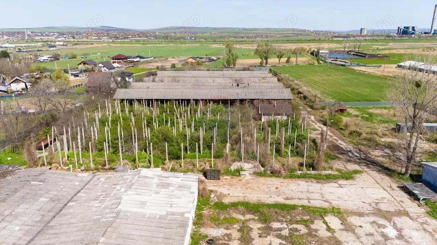 Teren de 13067 mp, în Tomești