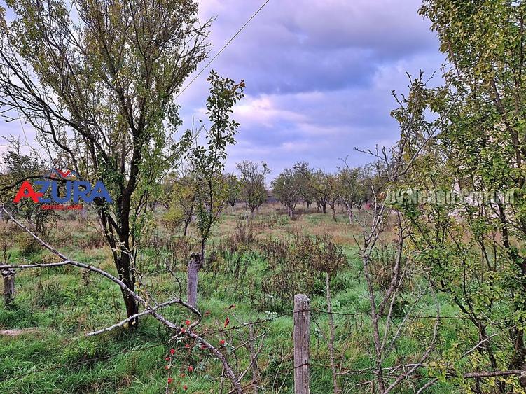 Teren Construcții intravilan de 3207 mp, în Bascov