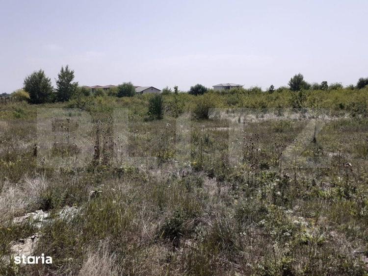 Teren de 6150 mp, în Ciarda Roșie