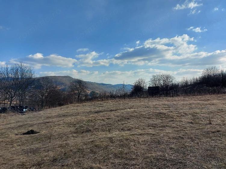 Teren de 2900 mp, în Buhoci