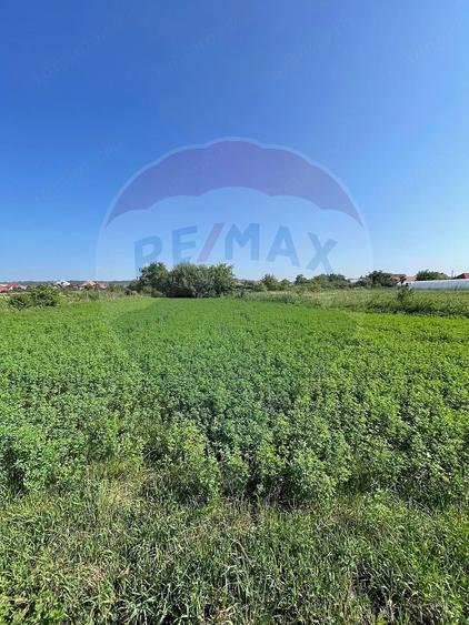 Teren de 1270 mp, în Central