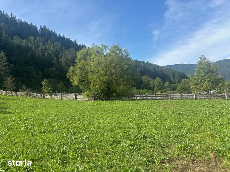 Teren de 7100 mp, în Grințieș