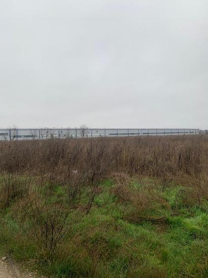 Teren Construcții intravilan de 30000 mp, în Ștefăneștii de Jos