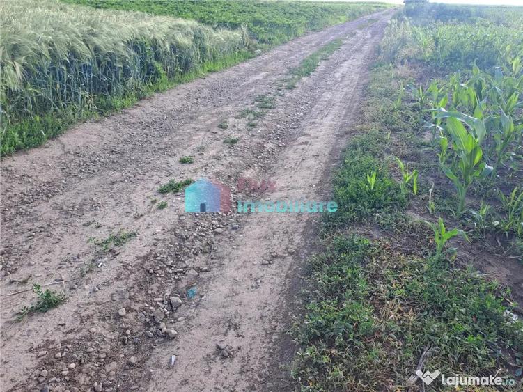 Teren intravilan in Reuseni, comuna Udesti - 11