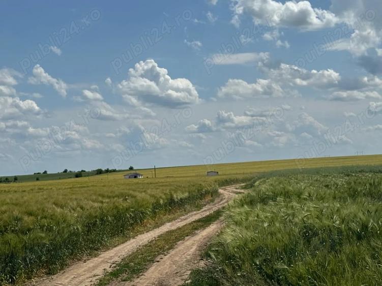 Teren de 4000 mp, în Bălăceanca