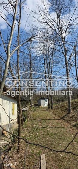 Casă cu 6 camere cu Teren 2200 Mp în Tisău