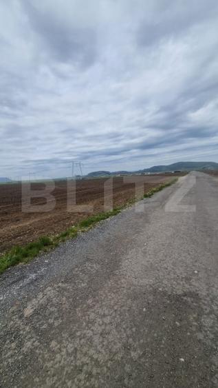 Teren Construcții extravilan de 11620 mp, în Hărman