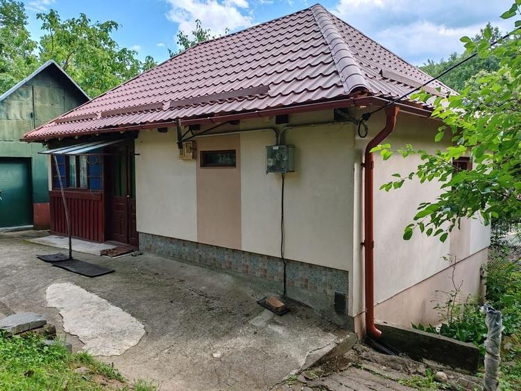 Casă cu 2 camere în Almașu Mare