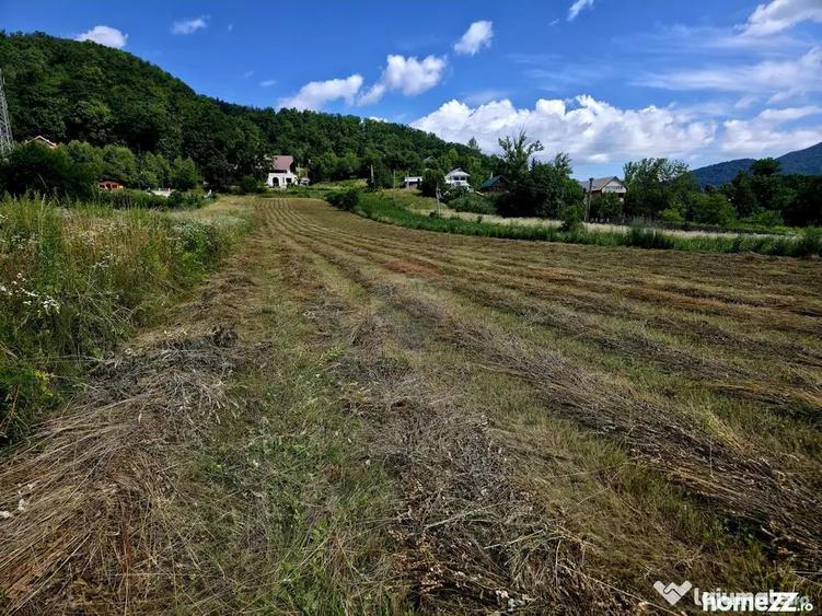Teren în Viișoara
