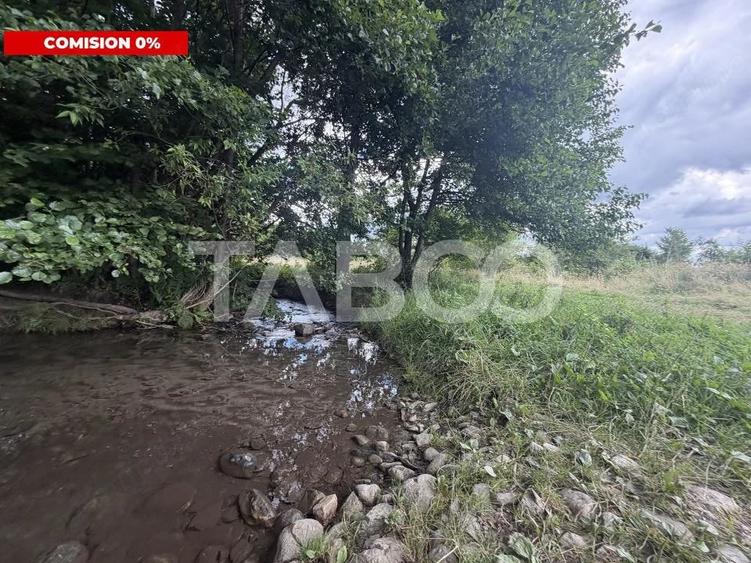 Teren extravilan 3650 mp latime 28 ml pretabil pentru cabana turistica - 5