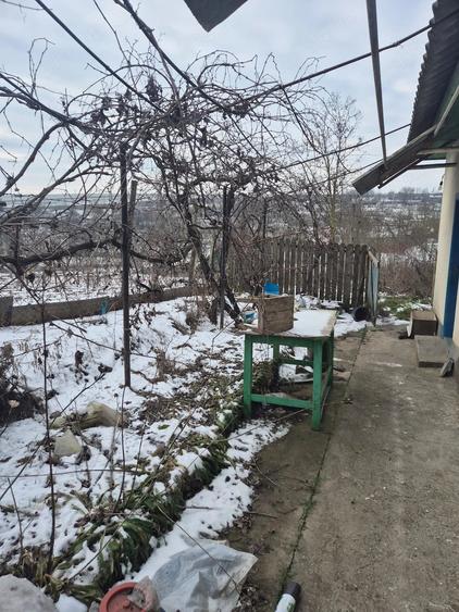 Casă cu 3 camere cu Teren 1631 Mp în Central