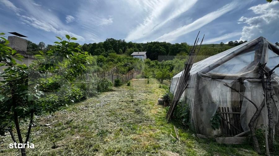 Casă cu 3 camere cu Teren 1180 Mp în Săsciori