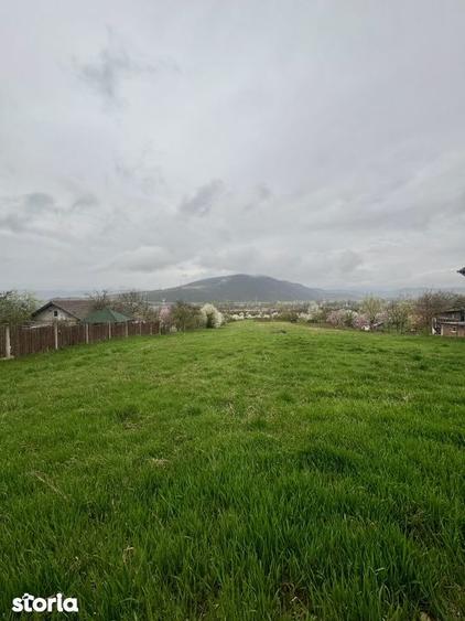 Teren de 2915 mp, în Vețel
