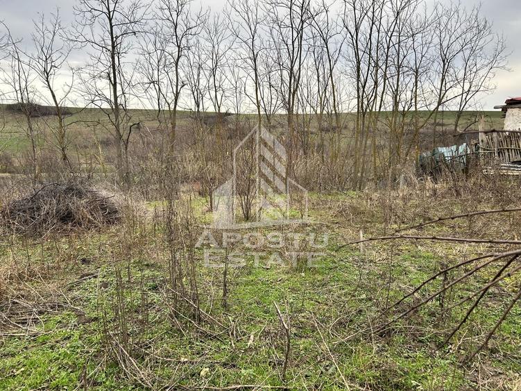 Teren Construcții intravilan de 3920 mp, în Herneacova