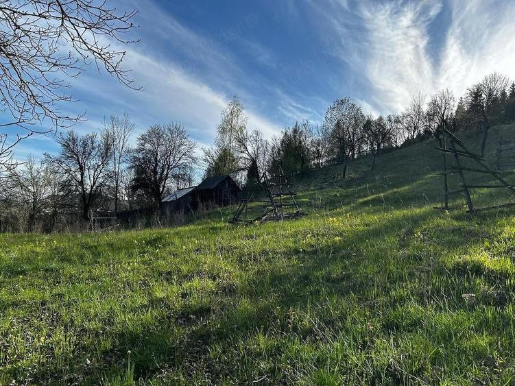 Teren de 2500 mp, în Trăisteni